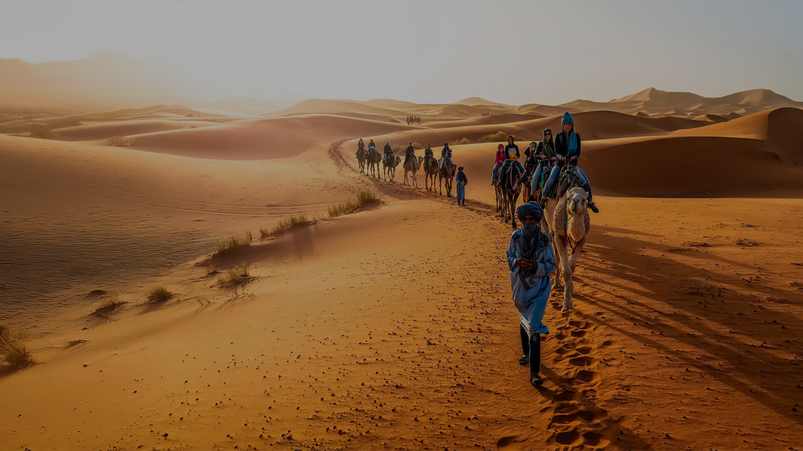 sahara