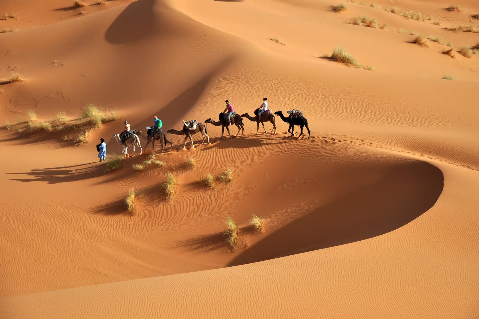 Agafay Desert