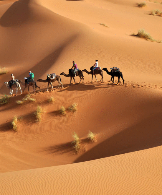 Sahara