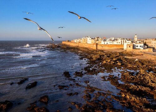 Excursion Essaouira